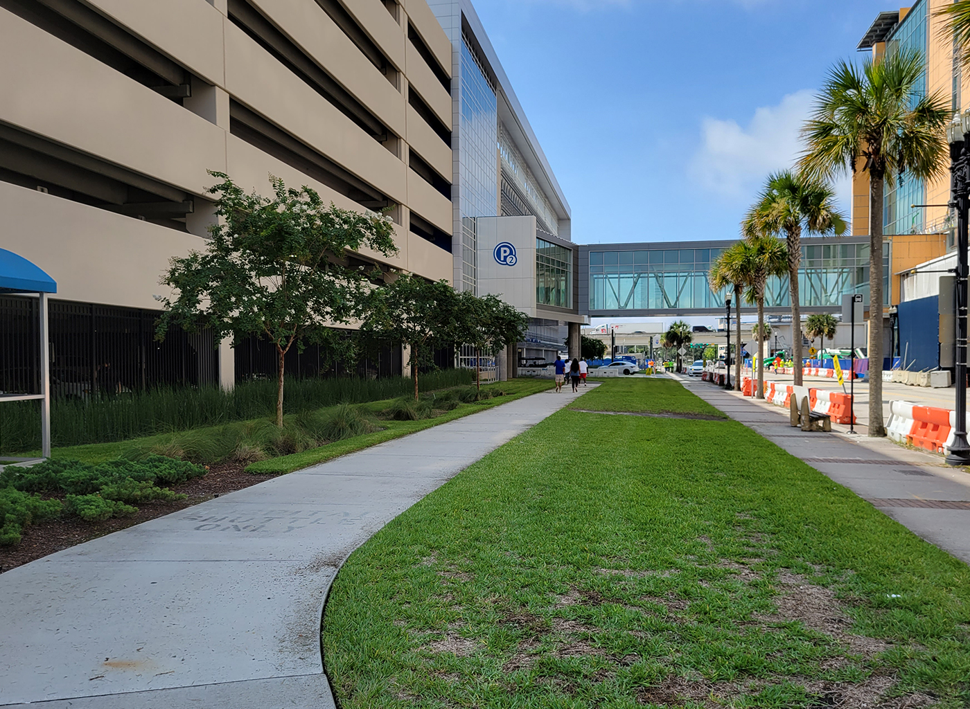 Palm Avenue