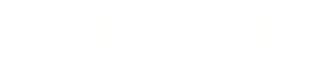 OpenGov Partner Award
